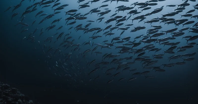 Soudage sous-marin : mouillé ou hyperbare, ce n'est pas le même métier