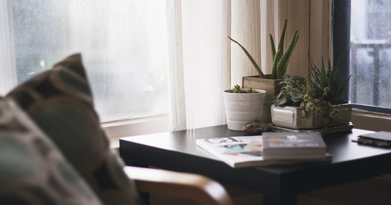 Ogoon, votre magazine business entrepreneuriat : faire d'un revenu d'appoint une activité qui tient la route