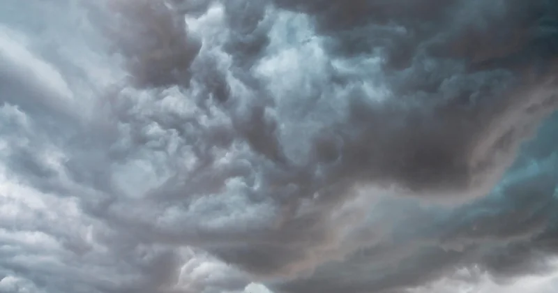 Climat ligérien et matériaux : une contrainte que les Nantais connaissent bien