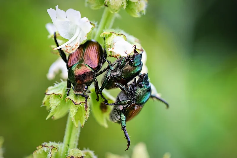 Mon expérience personnelle : les bugs et les solutions