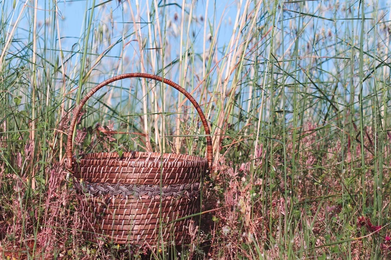 Matériaux biosourcés : le bon choix pour votre projet