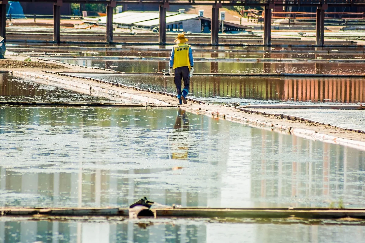 Signalétique écologique en région nantaise : le guide complet 2026