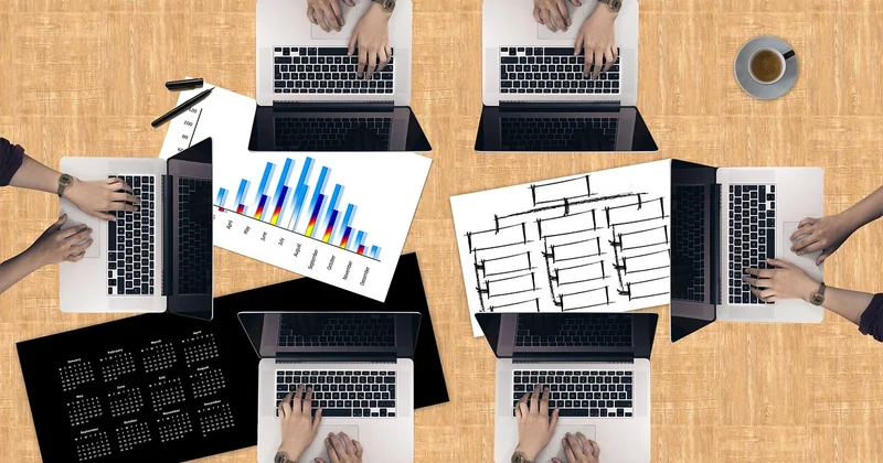 Maestro, contact, organigramme : où trouver réellement l'information