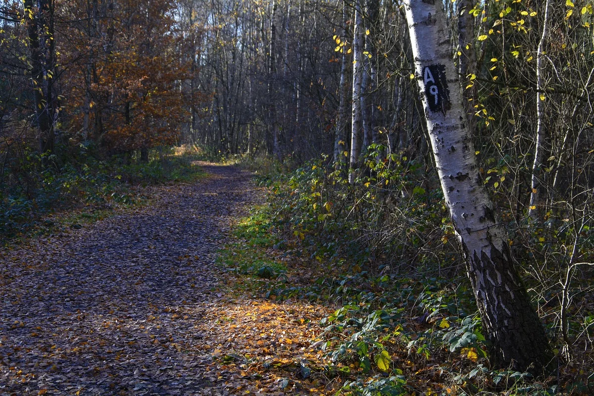 Étape 4 : Automatiser pour gagner en efficacité (et en sérénité)